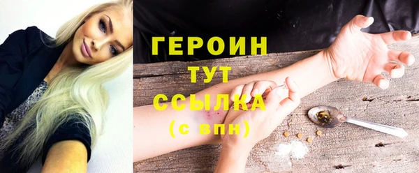 СК Новодвинск