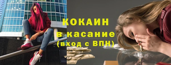 СК Новодвинск